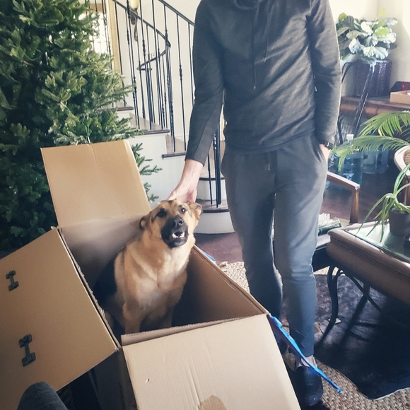 Meet Buddy! - Picture 1 of 1